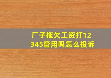 厂子拖欠工资打12345管用吗怎么投诉