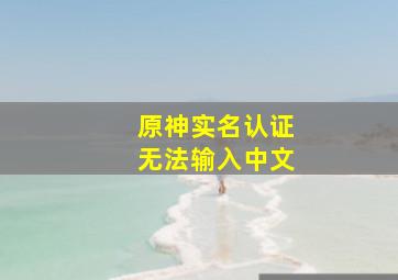 原神实名认证无法输入中文