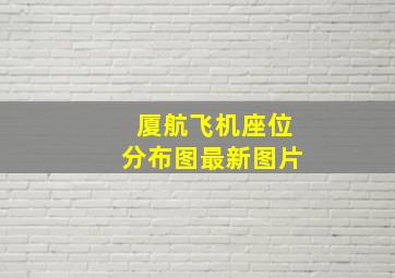 厦航飞机座位分布图最新图片