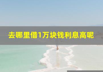 去哪里借1万块钱利息高呢