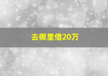 去哪里借20万