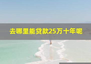 去哪里能贷款25万十年呢