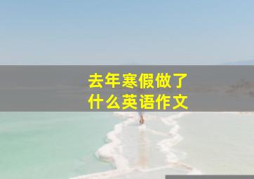 去年寒假做了什么英语作文