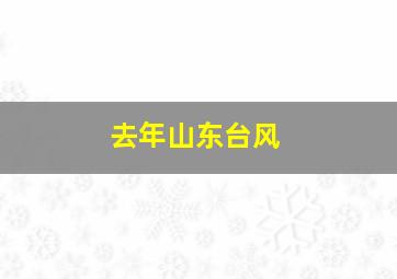 去年山东台风