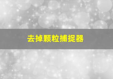 去掉颗粒捕捉器