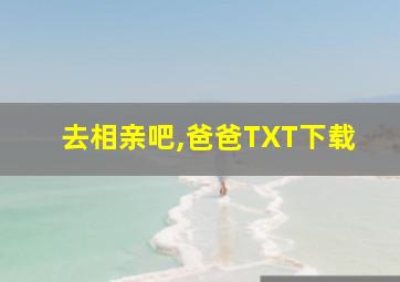 去相亲吧,爸爸TXT下载