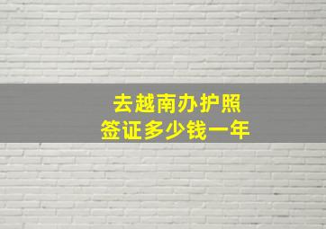 去越南办护照签证多少钱一年