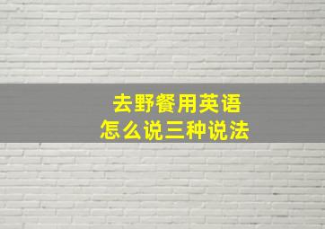 去野餐用英语怎么说三种说法