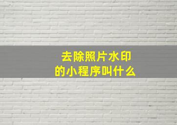 去除照片水印的小程序叫什么