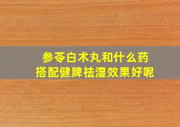 参苓白术丸和什么药搭配健脾祛湿效果好呢