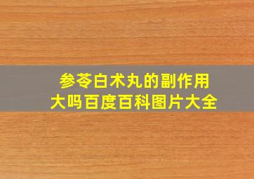 参苓白术丸的副作用大吗百度百科图片大全