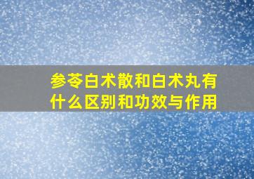 参苓白术散和白术丸有什么区别和功效与作用