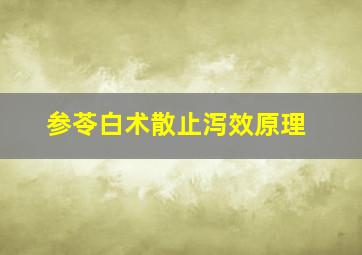 参苓白术散止泻效原理