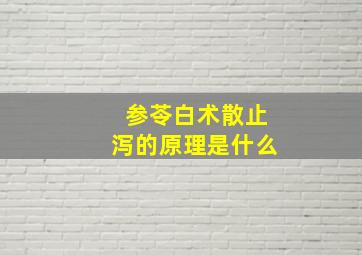 参苓白术散止泻的原理是什么