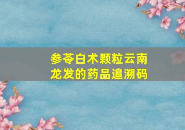 参苓白术颗粒云南龙发的药品追溯码