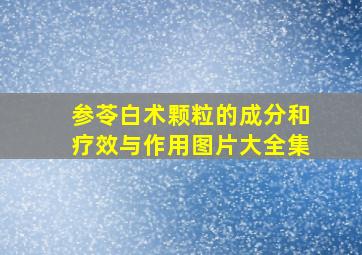 参苓白术颗粒的成分和疗效与作用图片大全集