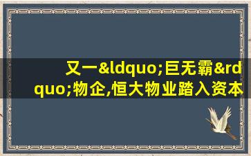 又一“巨无霸”物企,恒大物业踏入资本市场