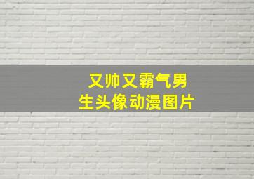 又帅又霸气男生头像动漫图片