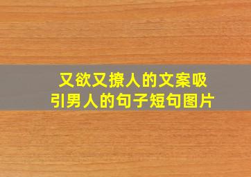 又欲又撩人的文案吸引男人的句子短句图片