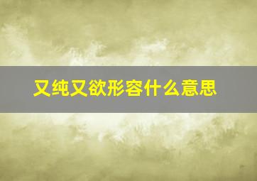 又纯又欲形容什么意思