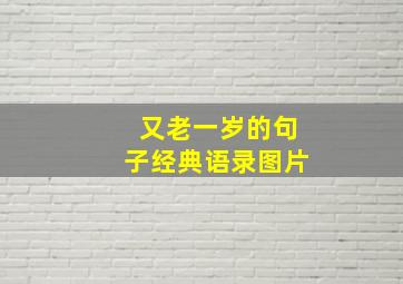 又老一岁的句子经典语录图片