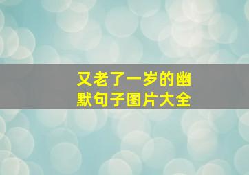 又老了一岁的幽默句子图片大全