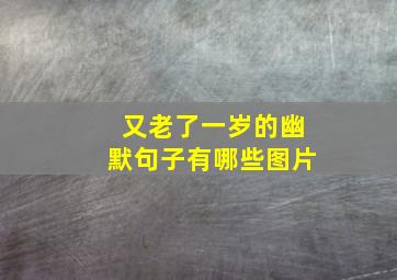 又老了一岁的幽默句子有哪些图片