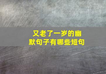 又老了一岁的幽默句子有哪些短句