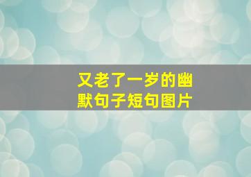 又老了一岁的幽默句子短句图片