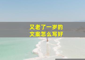 又老了一岁的文案怎么写好