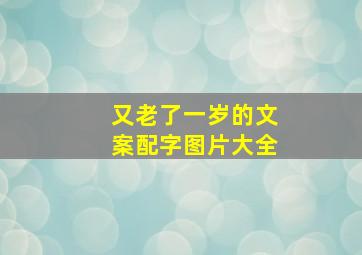 又老了一岁的文案配字图片大全