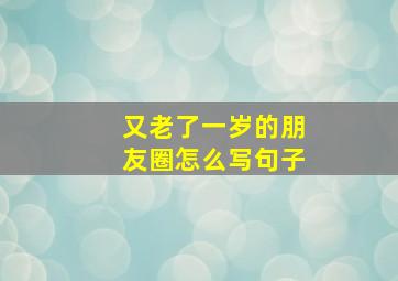 又老了一岁的朋友圈怎么写句子