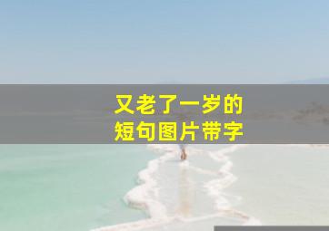 又老了一岁的短句图片带字