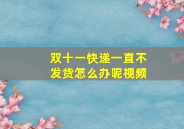 双十一快递一直不发货怎么办呢视频