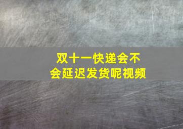 双十一快递会不会延迟发货呢视频