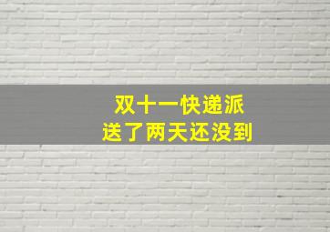 双十一快递派送了两天还没到