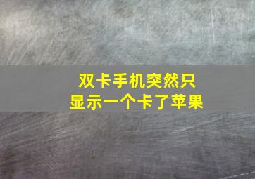 双卡手机突然只显示一个卡了苹果