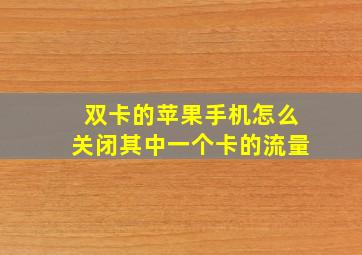 双卡的苹果手机怎么关闭其中一个卡的流量