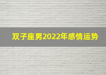 双子座男2022年感情运势