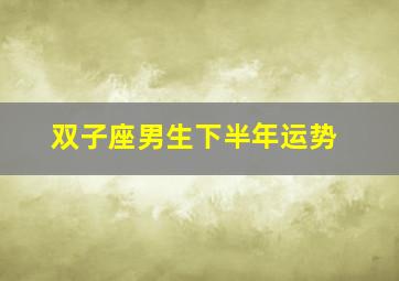 双子座男生下半年运势