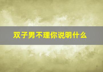 双子男不理你说明什么