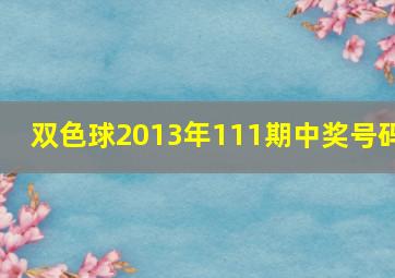 双色球2013年111期中奖号码