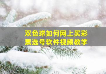 双色球如何网上买彩票选号软件视频教学