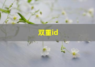 双重id