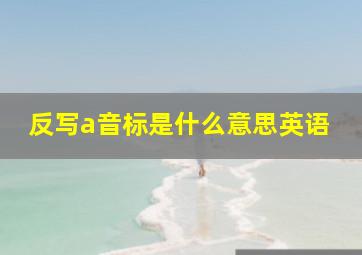 反写a音标是什么意思英语