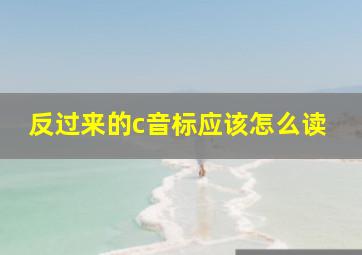 反过来的c音标应该怎么读