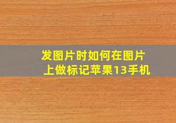 发图片时如何在图片上做标记苹果13手机