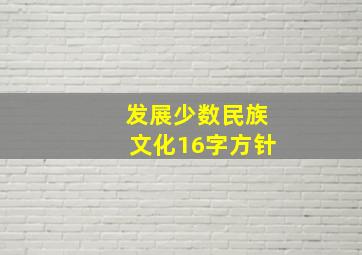 发展少数民族文化16字方针