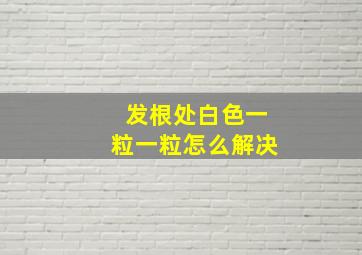 发根处白色一粒一粒怎么解决