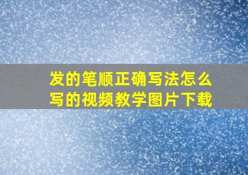 发的笔顺正确写法怎么写的视频教学图片下载